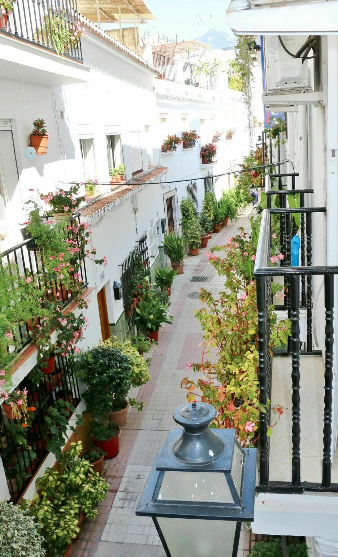 Gasthuis La Pilarica *