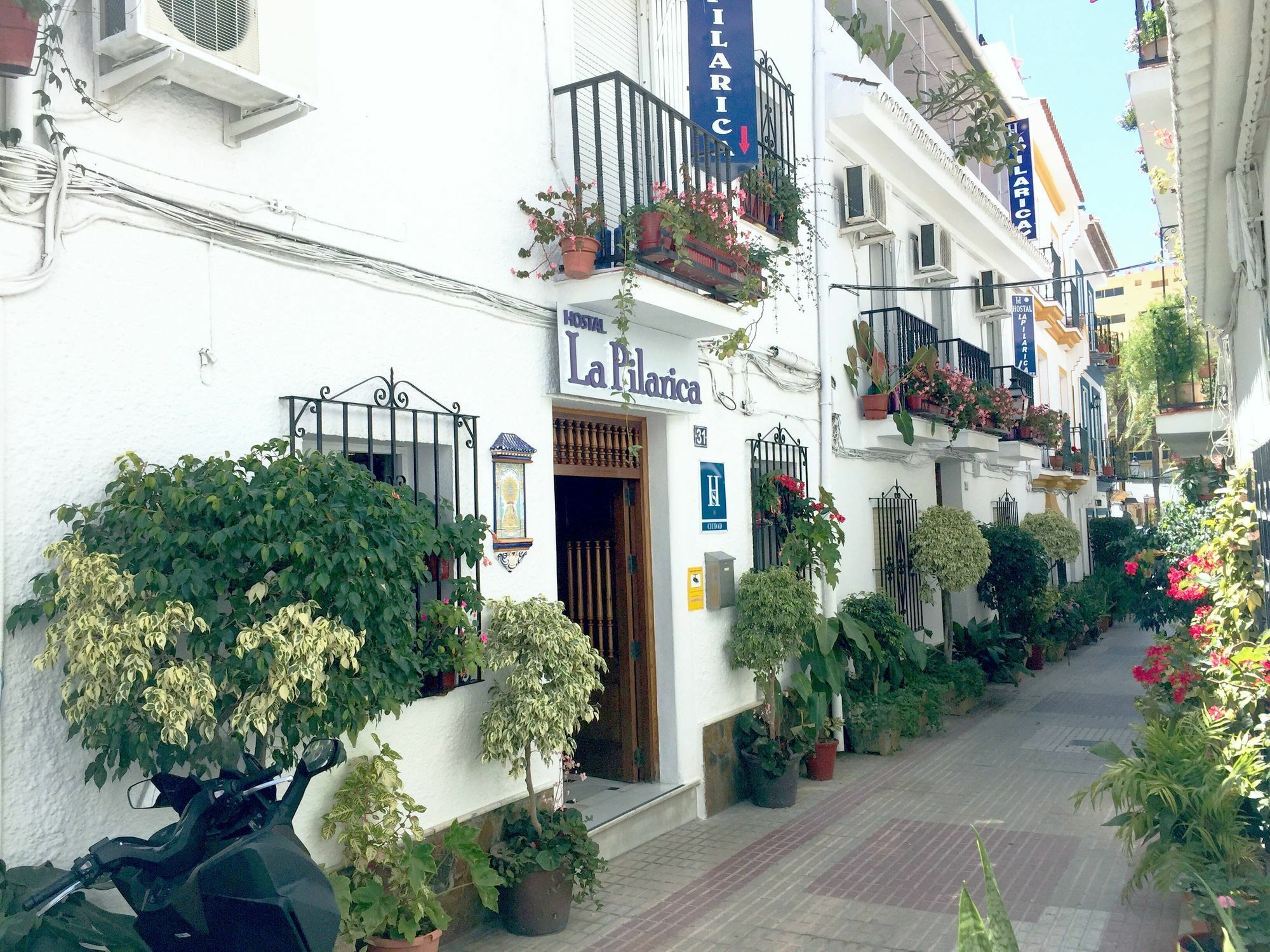 La Pilarica Guest house Marbella