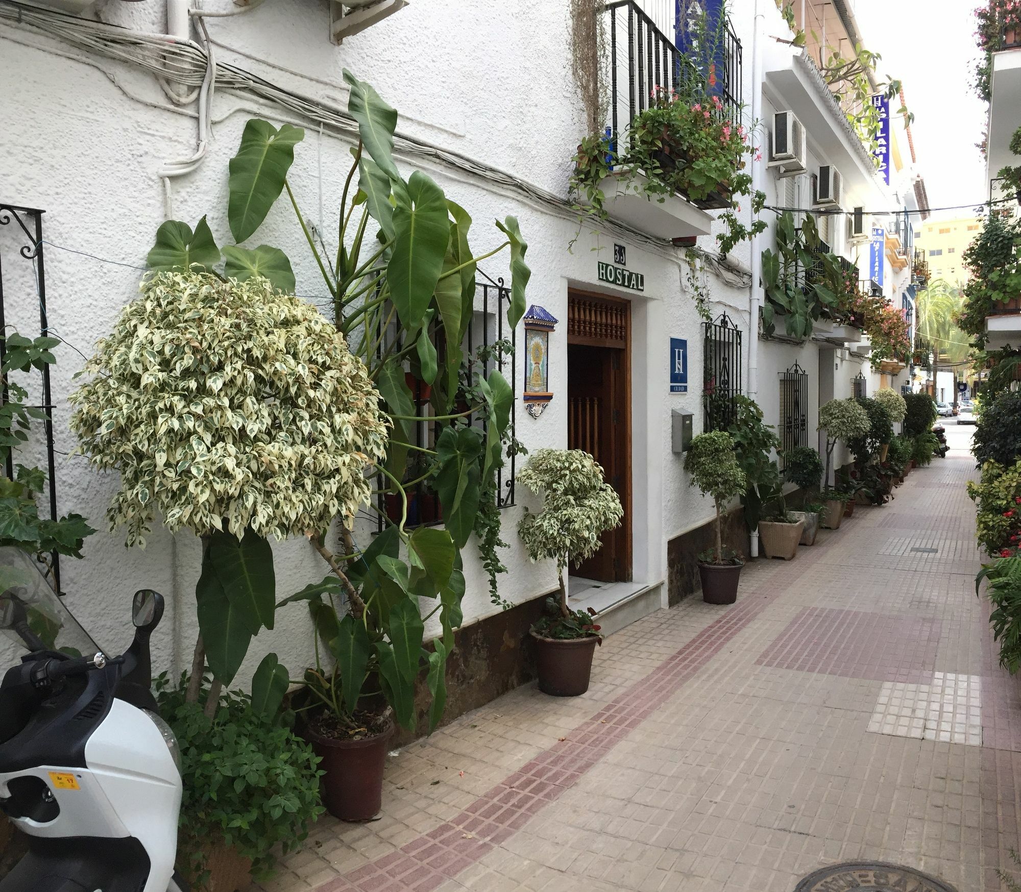 La Pilarica Guest house *
